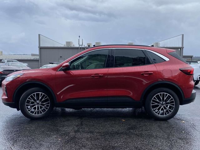 Certified 2023 Ford Escape SE image 7