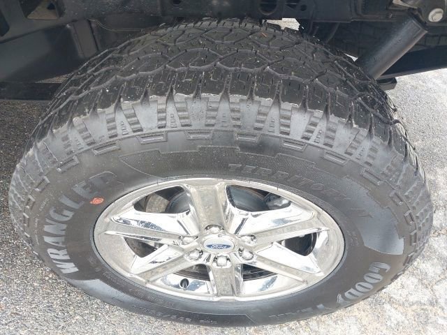 Certified 2025 Ford F150 XLT w/ Equipment Group 301A Standard image 13