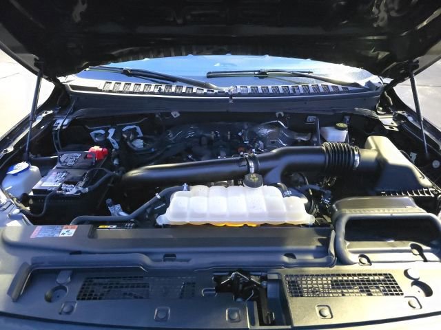 Certified 2024 Ford Expedition XLT image 29