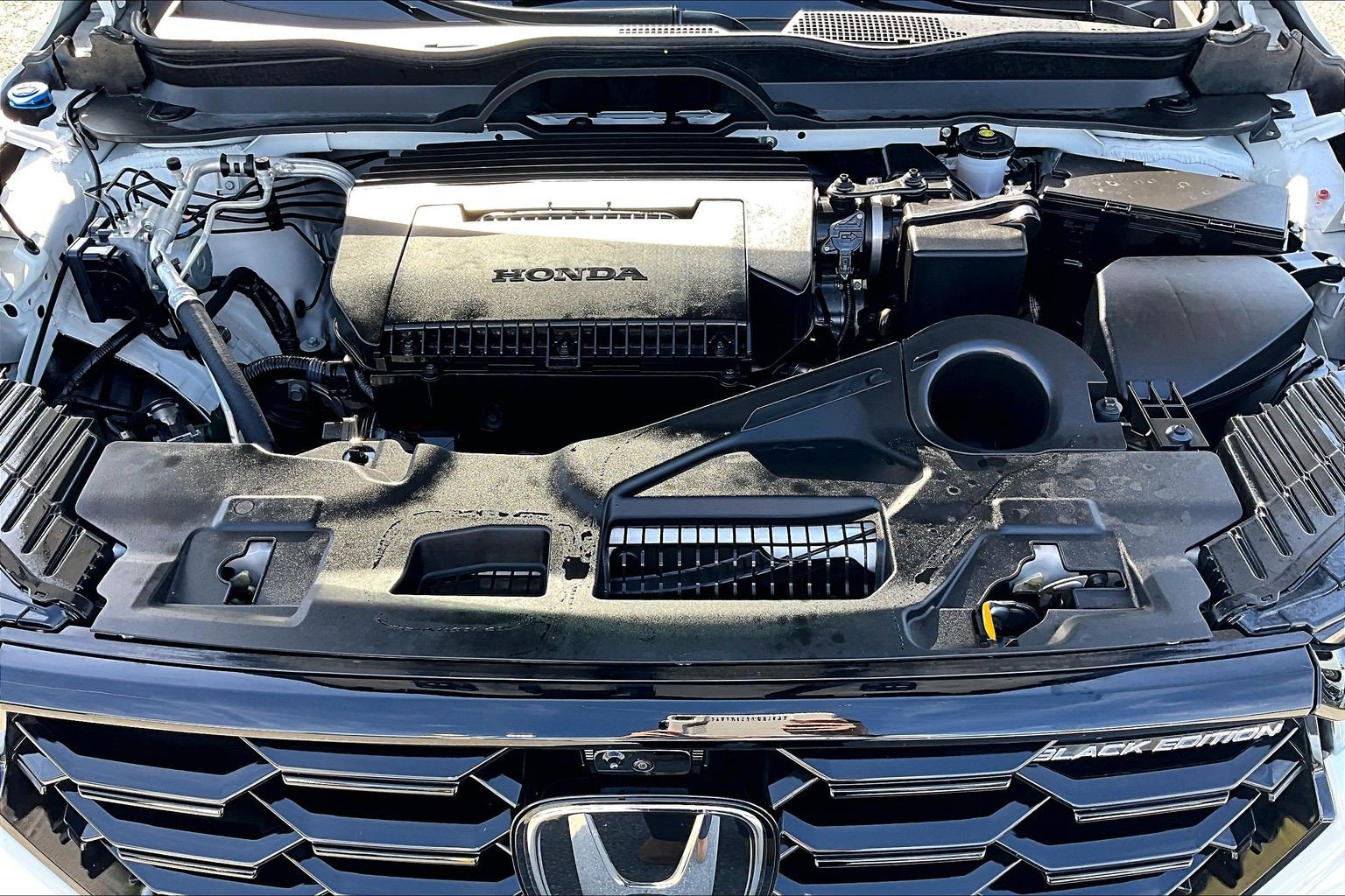 Used 2025 Honda Pilot Black Edition image 10