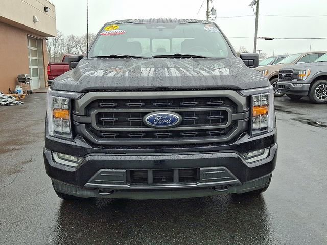 Certified 2023 Ford F150 XLT w/ Equipment Group 302A High image 6