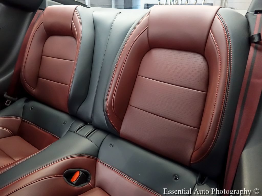 Certified 2025 Ford Mustang GT Premium RWD image 11