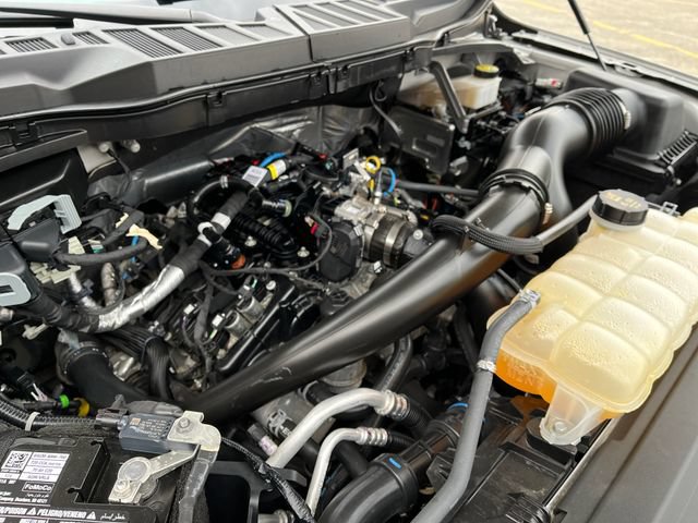 Certified 2024 Ford F150 STX w/ STX Black Appearance Package AWD/4WD image 19
