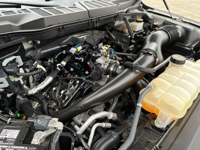 Certified 2024 Ford F150 STX w/ STX Black Appearance Package AWD/4WD image 19