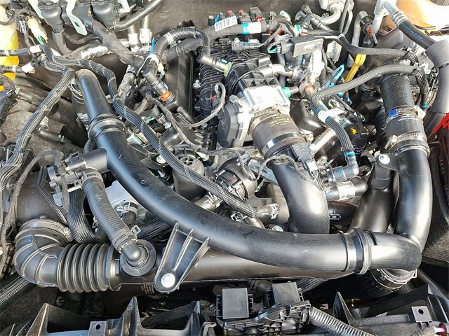 Certified 2024 Ford Bronco Wildtrak image 28