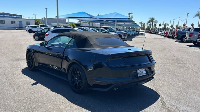 Certified 2019 Ford Mustang Premium w/ Ecoboost Performance Package RWD image 5