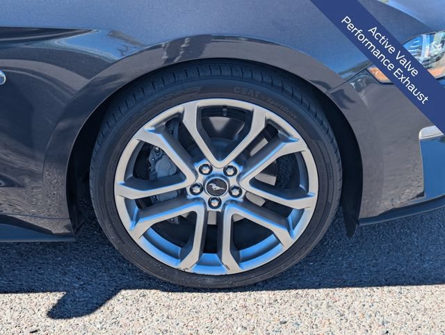Certified 2022 Ford Mustang GT Premium w/ Ford Safe & Smart Package RWD image 12