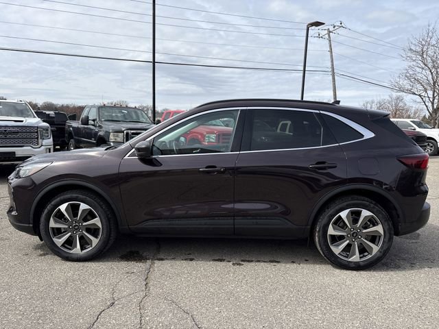 Certified 2023 Ford Escape Platinum image 6