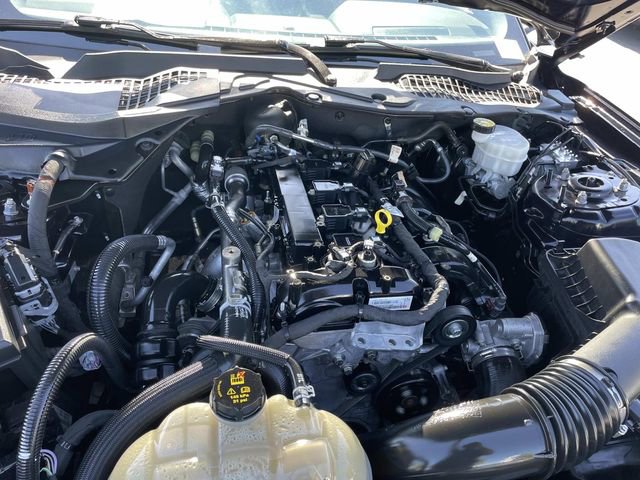 Certified 2021 Ford Mustang Coupe w/ Equipment Group 101A image 30