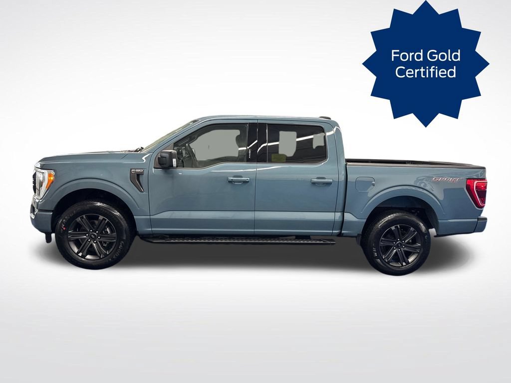 Certified 2023 Ford F150 XLT w/ Equipment Group 302A High AWD/4WD video 2