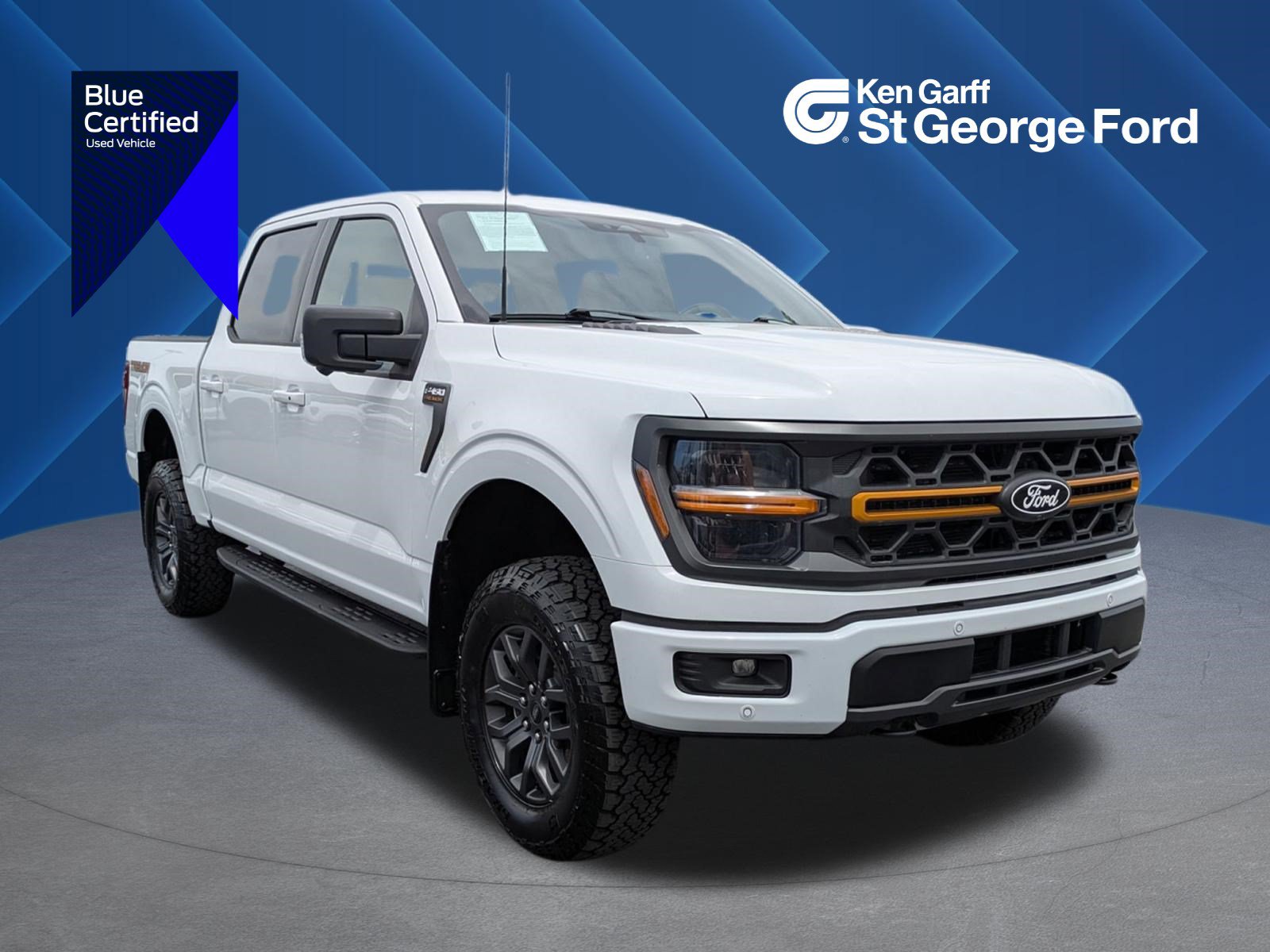 Certified 2025 Ford F150 Tremor w/ Tow/Haul Package AWD/4WD image 1