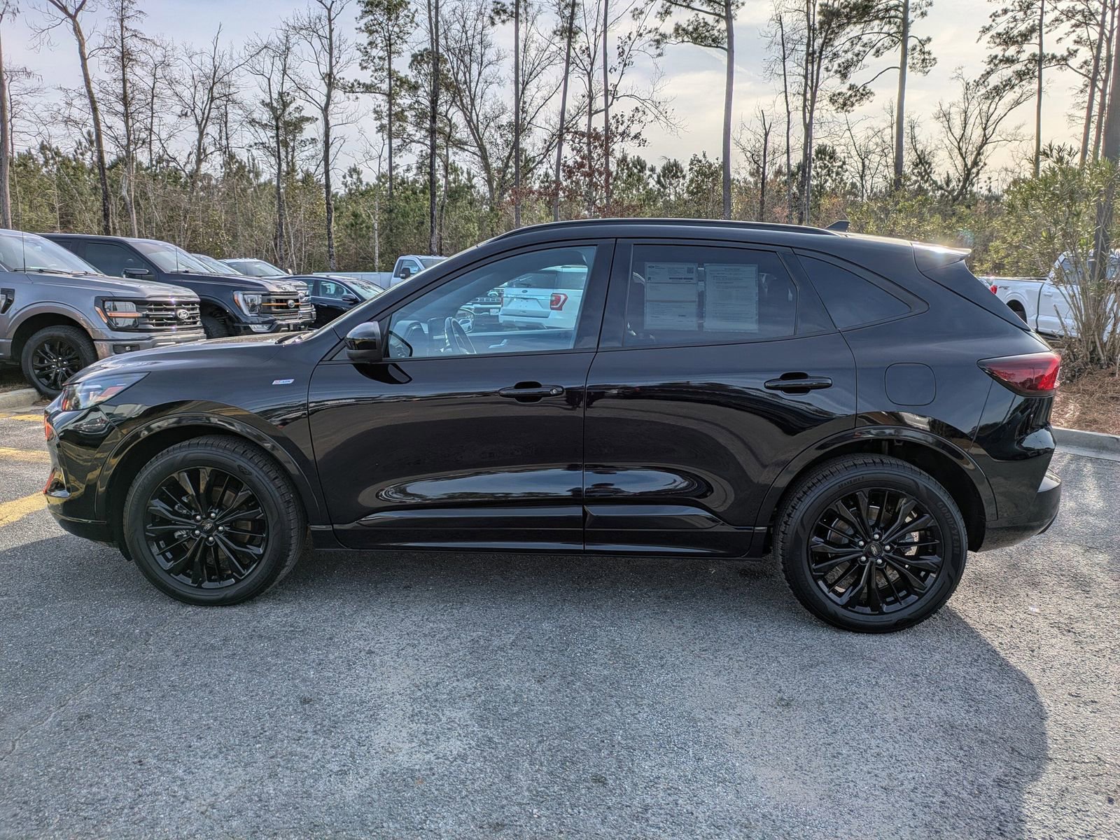 Certified 2023 Ford Escape ST-Line Elite video 2