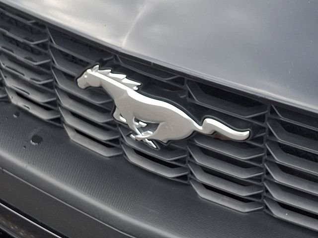 Certified 2024 Ford Mustang Premium RWD image 30
