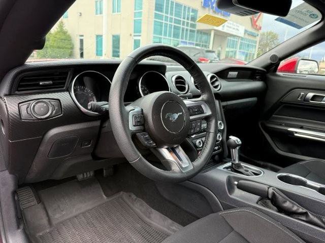 Certified 2021 Ford Mustang ECOBOOST image 12