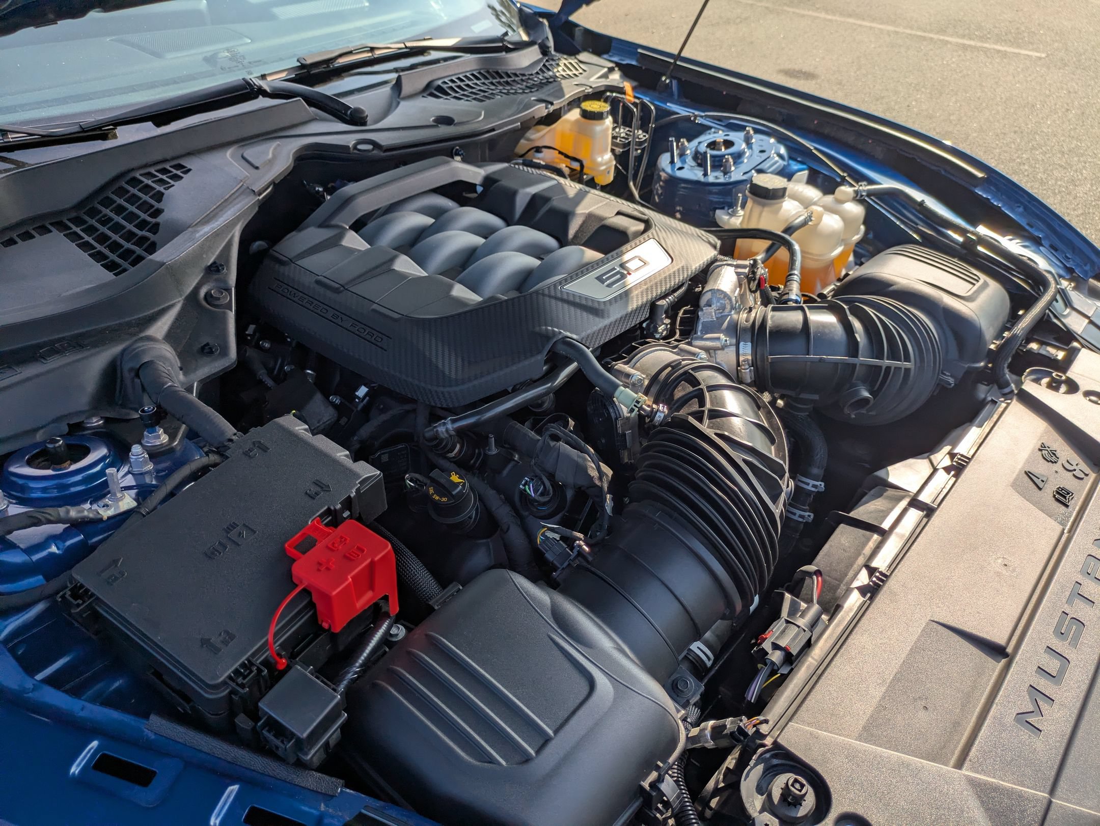 Certified 2024 Ford Mustang GT RWD image 36