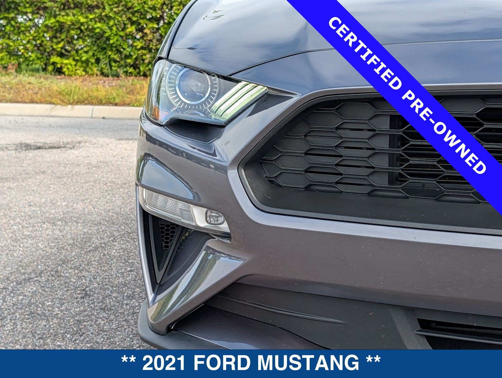 Certified 2021 Ford Mustang Premium w/ Black Accent Package RWD image 10