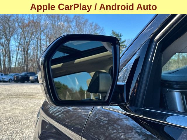 Certified 2024 Ford Expedition XLT image 8