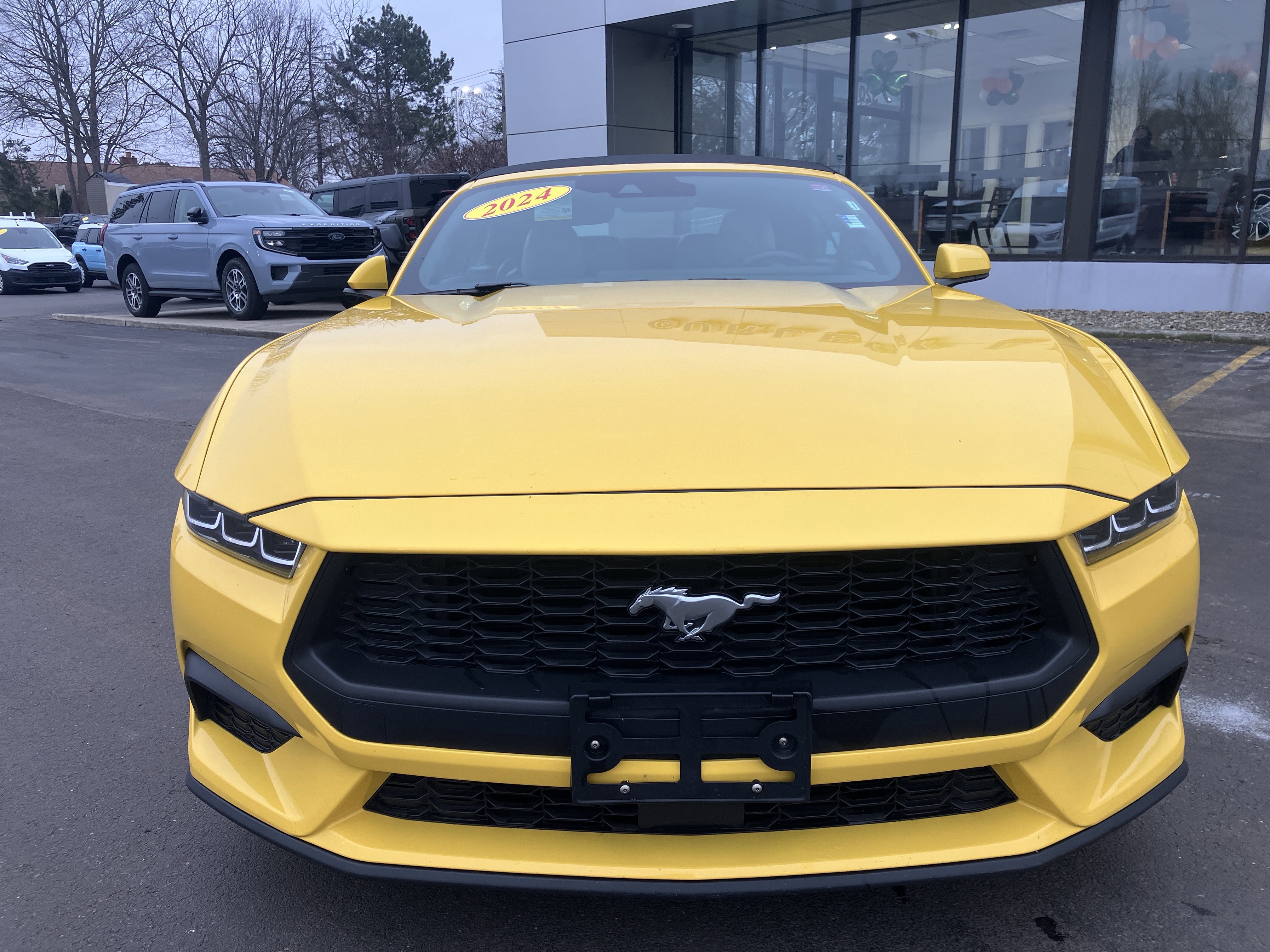 Certified 2024 Ford Mustang Premium image 8