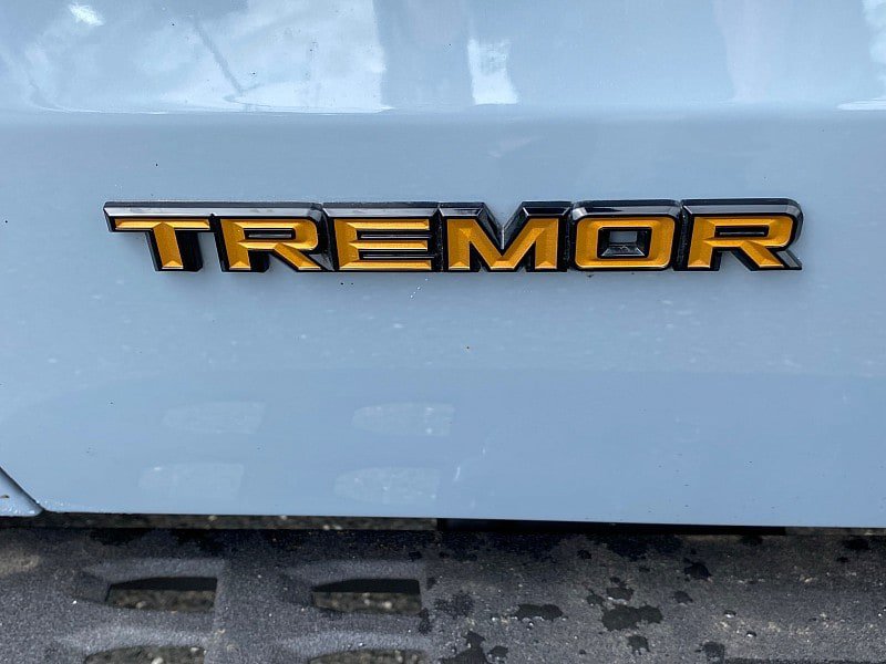 Certified 2025 Ford Expedition Tremor AWD/4WD image 12