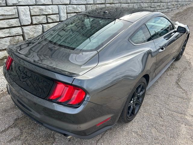 Certified 2019 Ford Mustang Coupe w/ Equipment Group 101A RWD image 5