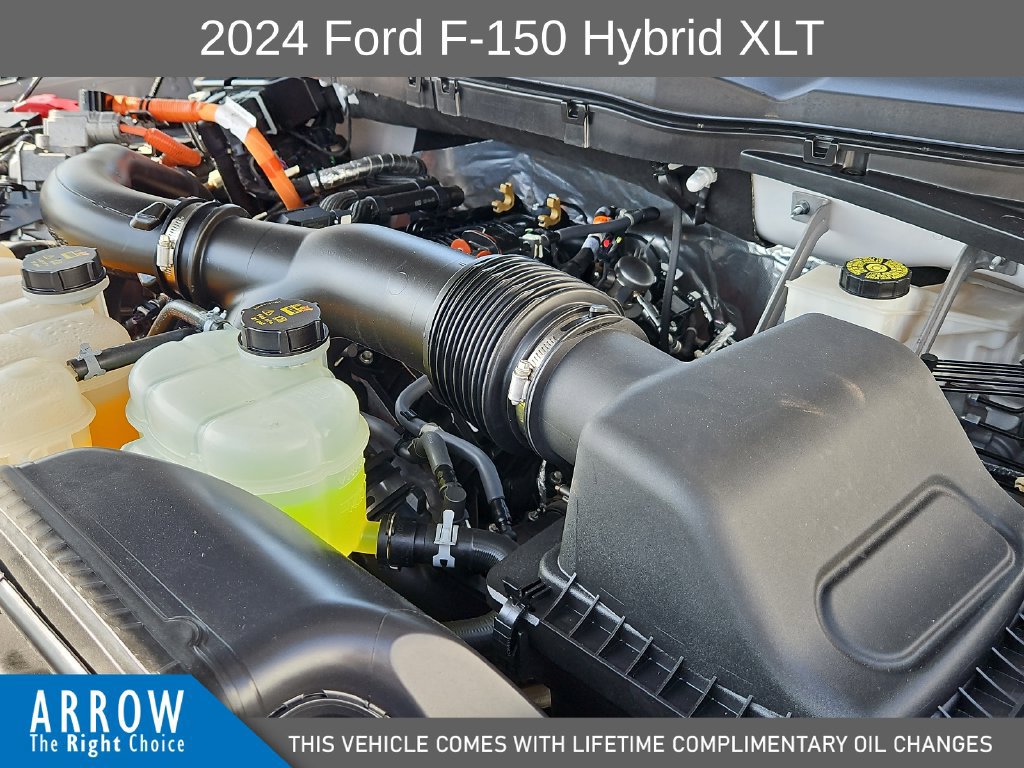 Certified 2024 Ford F150 XLT w/ Equipment Group 302A MID AWD/4WD image 15
