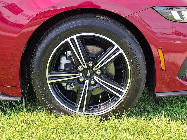 Certified 2025 Ford Mustang Premium RWD image 8