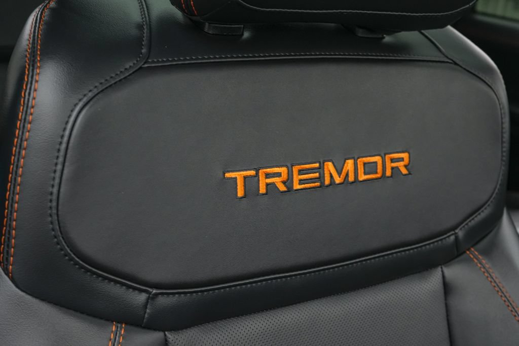 Certified 2025 Ford Expedition Tremor AWD/4WD image 39