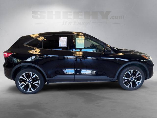 Certified 2022 Ford Escape SEL w/ SEL Stealth AWD Package image 10
