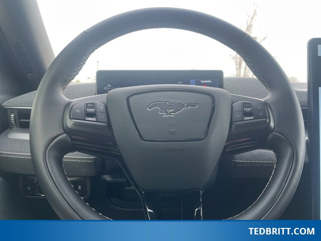 Certified 2025 Ford Mustang Mach-E GT image 28