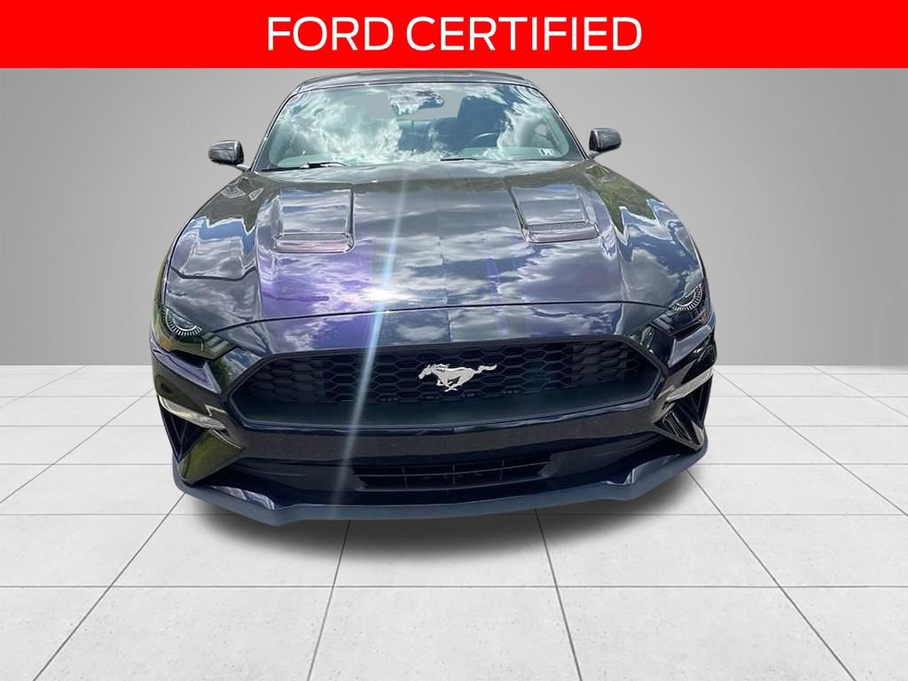 Certified 2023 Ford Mustang Premium w/ Equipment Group 201A RWD image 2