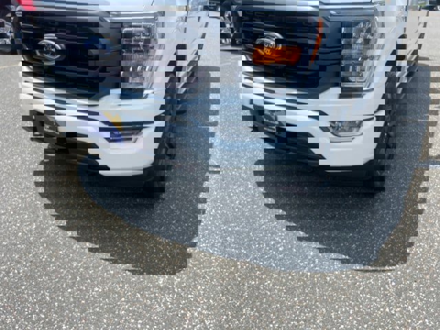 Certified 2023 Ford F150 XLT w/ Equipment Group 302A High video 2