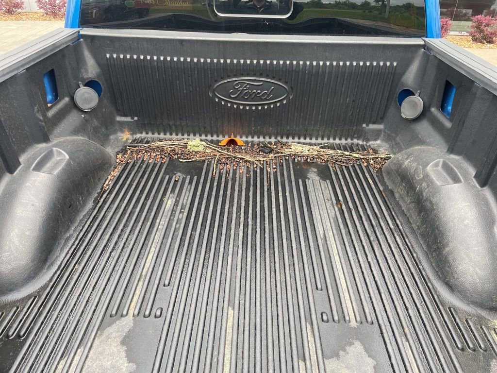 Certified 2019 Ford F150 XLT w/ Equipment Group 302A Luxury AWD/4WD image 14