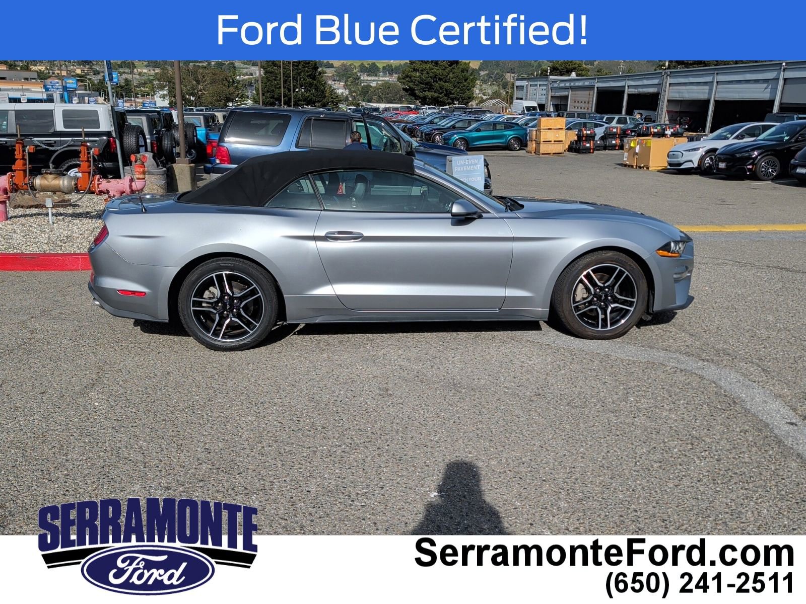 Certified 2021 Ford Mustang Premium image 9