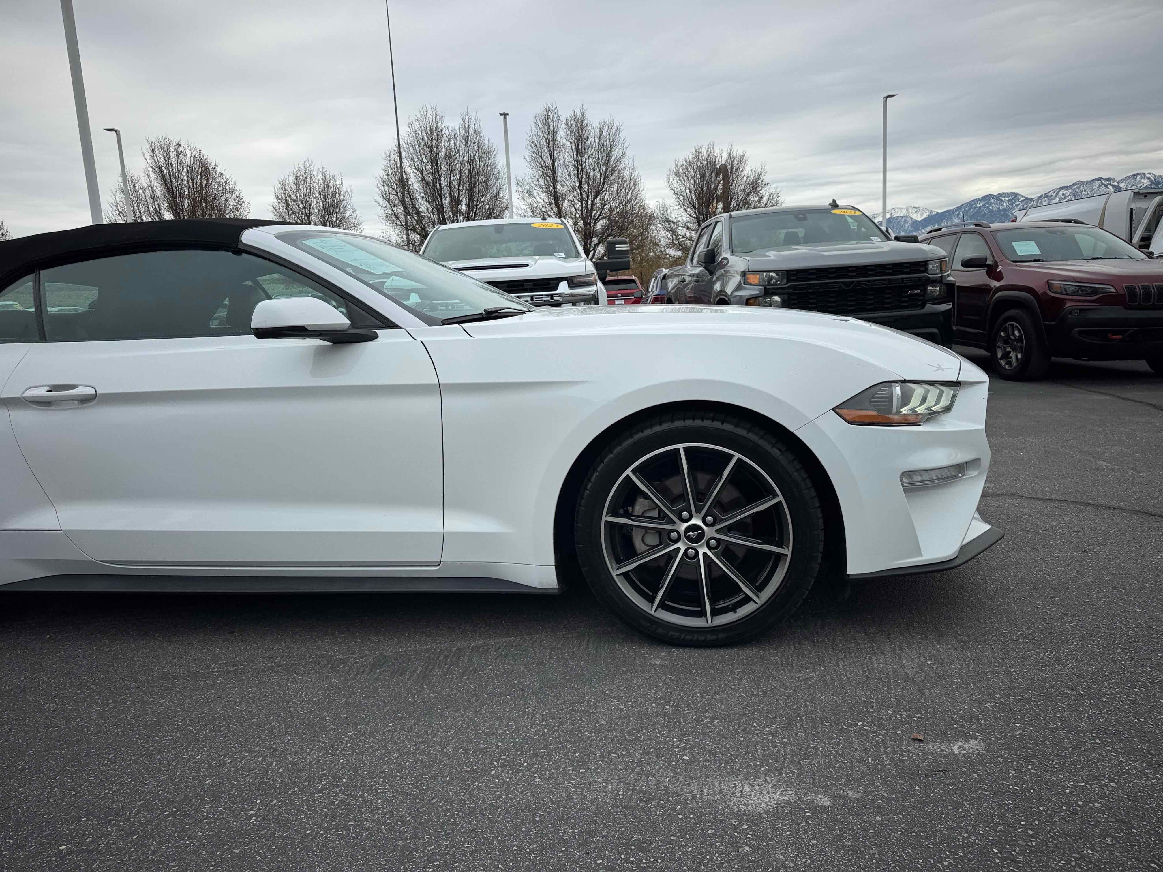 Certified 2018 Ford Mustang Premium w/ Equipment Group 201A image 10
