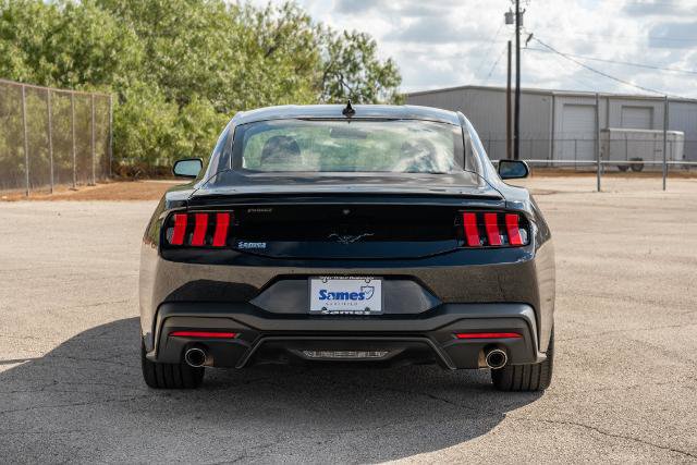 Certified 2025 Ford Mustang Coupe w/ Mustang Nite Pony Package RWD image 7
