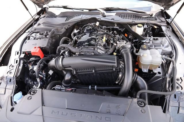 Certified 2024 Ford Mustang Premium RWD image 23