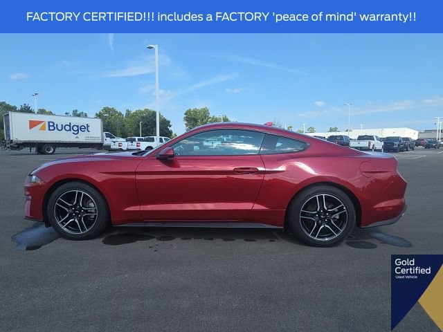 Certified 2023 Ford Mustang Coupe w/ Equipment Group 101A RWD image 14