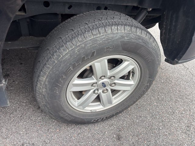 Certified 2024 Ford F150 XL w/ Equipment Group 103A High AWD/4WD image 30