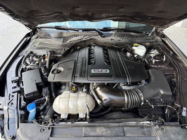 Certified 2022 Ford Mustang GT w/ Equipment Group 301A RWD image 4