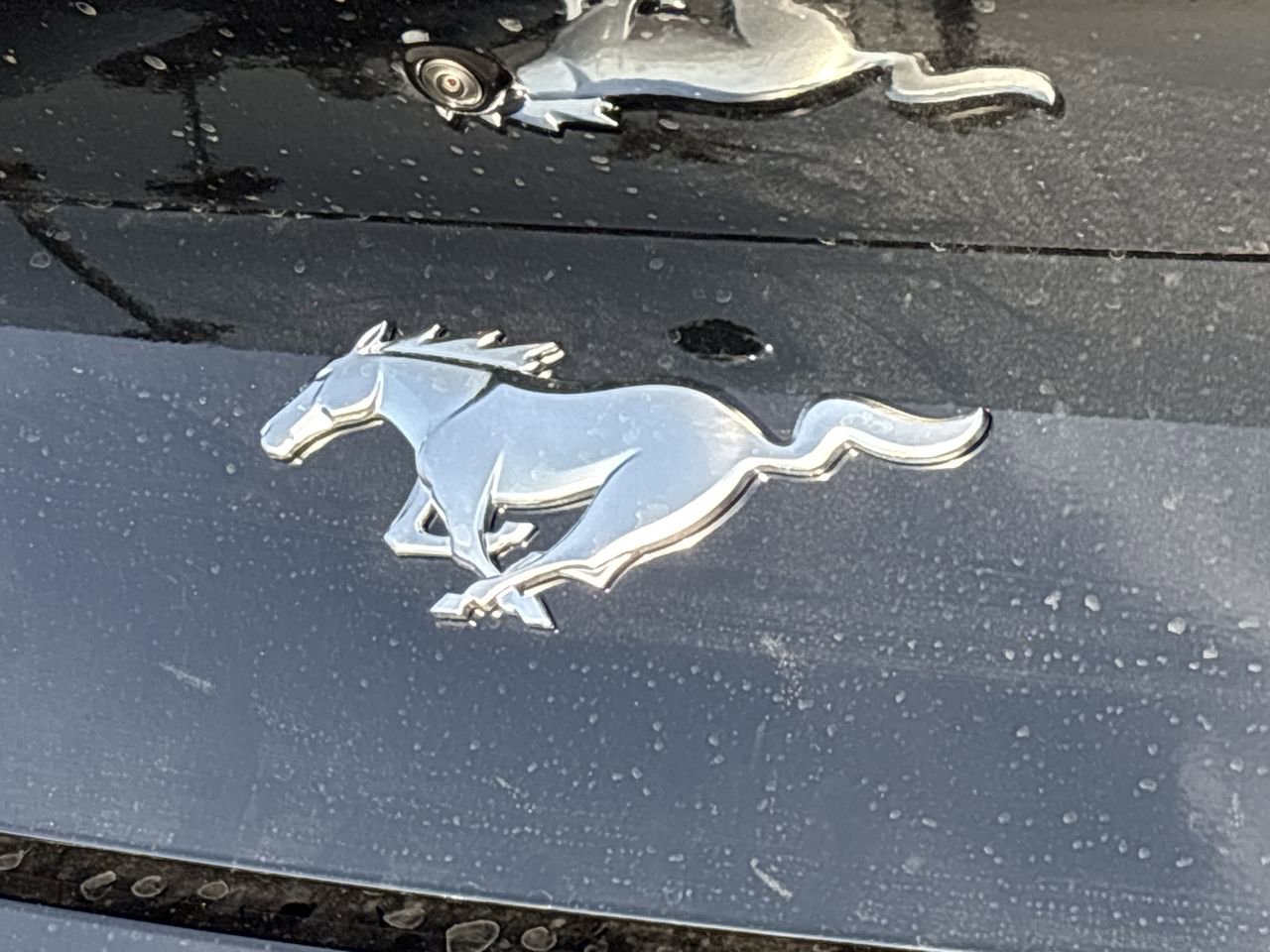 Certified 2025 Ford Mustang Coupe RWD image 9
