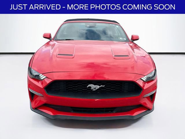 Certified 2023 Ford Mustang Premium w/ Equipment Group 201A image 7