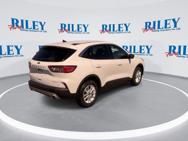 Certified 2022 Ford Escape SE w/ Cold Weather Package AWD/4WD image 9