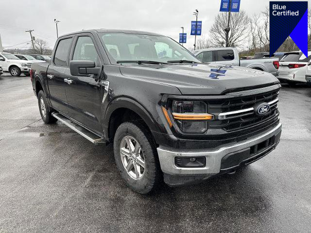 Certified 2025 Ford F150 XLT w/ Equipment Group 301A Standard image 1