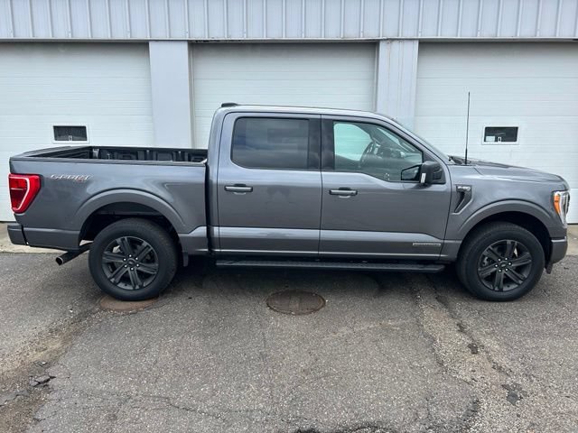 Certified 2023 Ford F150 XLT w/ Equipment Group 302A High AWD/4WD image 6