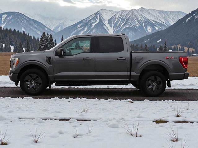 Certified 2021 Ford F150 XLT w/ Equipment Group 302A High image 3