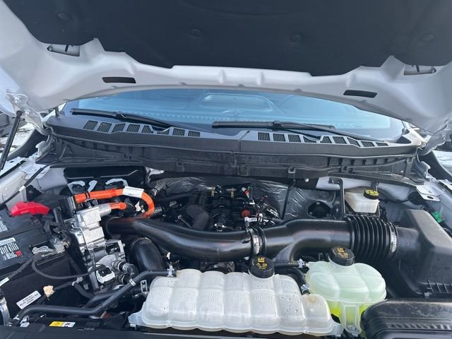 Certified 2024 Ford F150 Platinum image 45