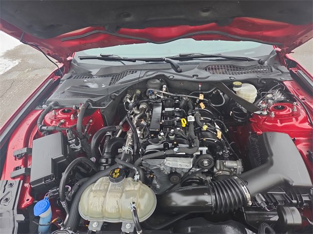 Certified 2023 Ford Mustang Convertible w/ Equipment Group 101A image 12