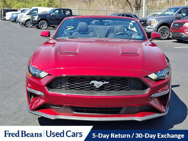 Certified 2019 Ford Mustang Convertible w/ Equipment Group 101A image 13