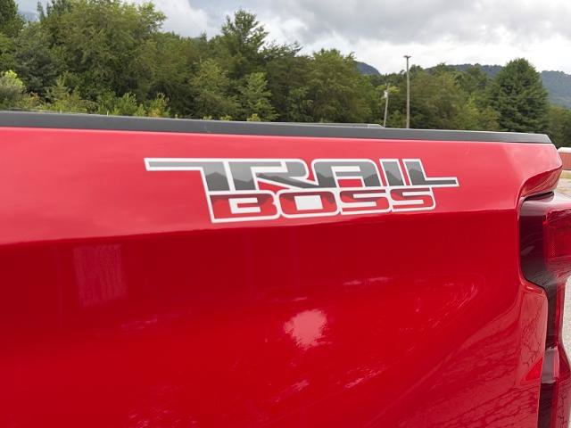 Used 2021 Chevrolet Silverado 1500 Custom Trail Boss AWD/4WD image 20