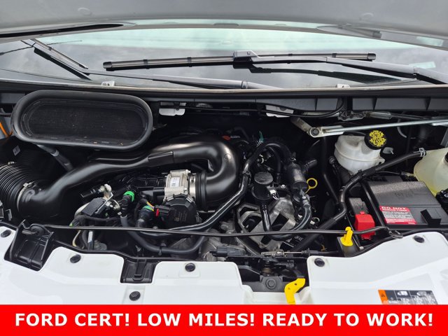 Certified 2025 Ford Transit 250 Low Roof w/ Exterior Upgrade Package RWD image 24